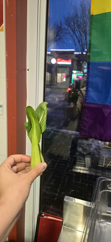 Image uploaded by Meg