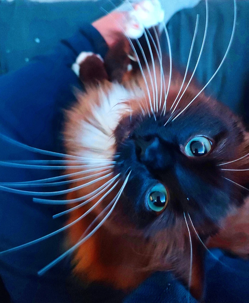 GIF uploaded by Andy