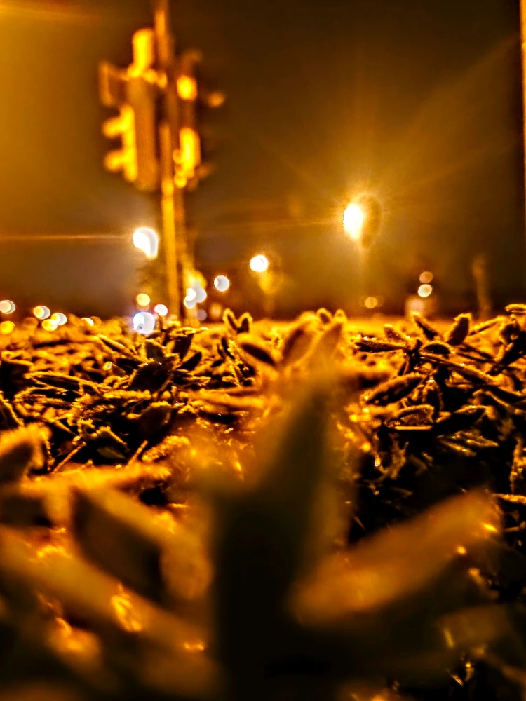 Bild hochgeladen von Matthias