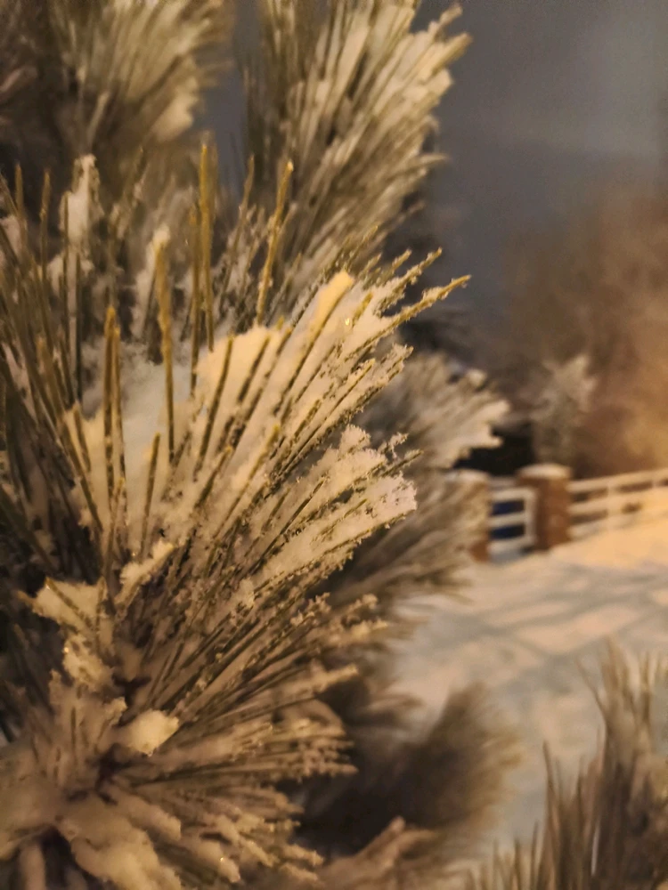 Bild hochgeladen von Matthias