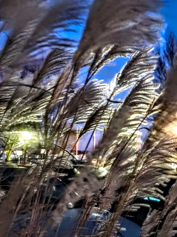 Bild hochgeladen von Matthias