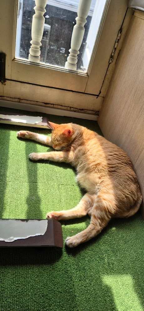 GIF uploaded by Caspy