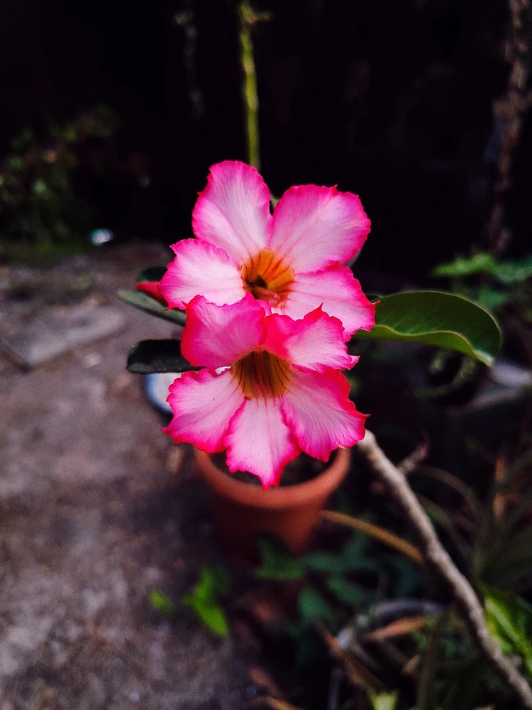 GIF uploaded by sebastian