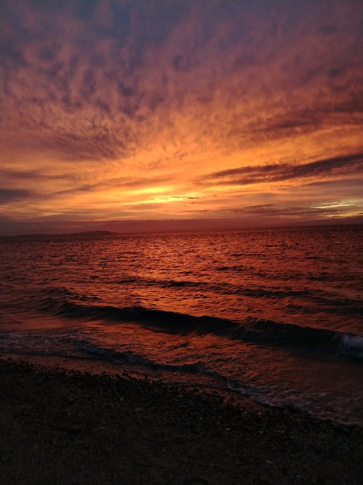 Image uploaded by Minmin