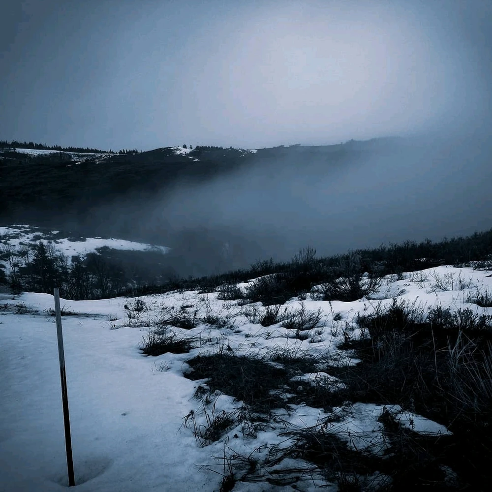 Image uploaded by Axel