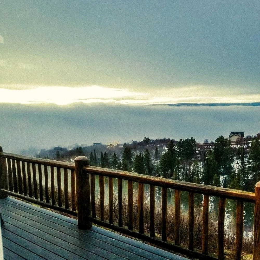 Image uploaded by Axel