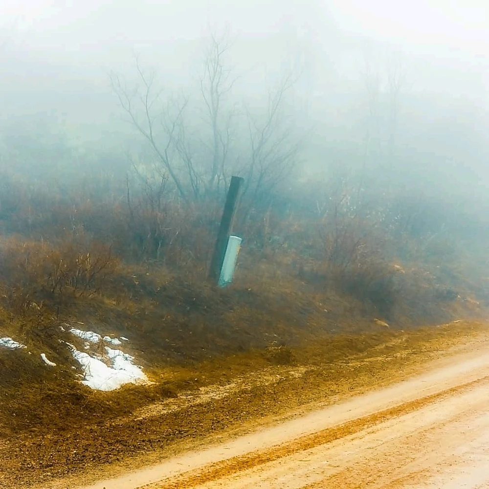 Image uploaded by Axel