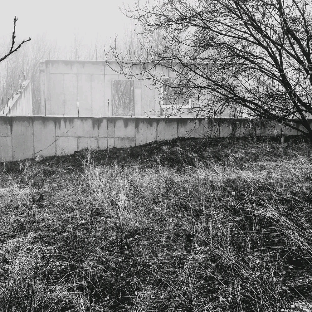 Image uploaded by Axel