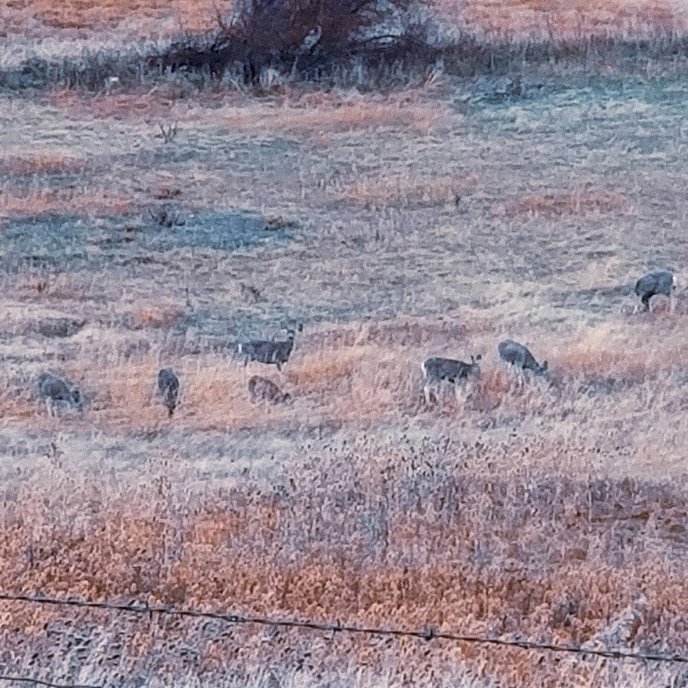 Image uploaded by Axel