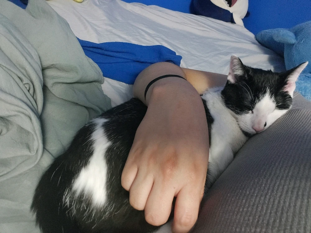 GIF uploaded by Oscar