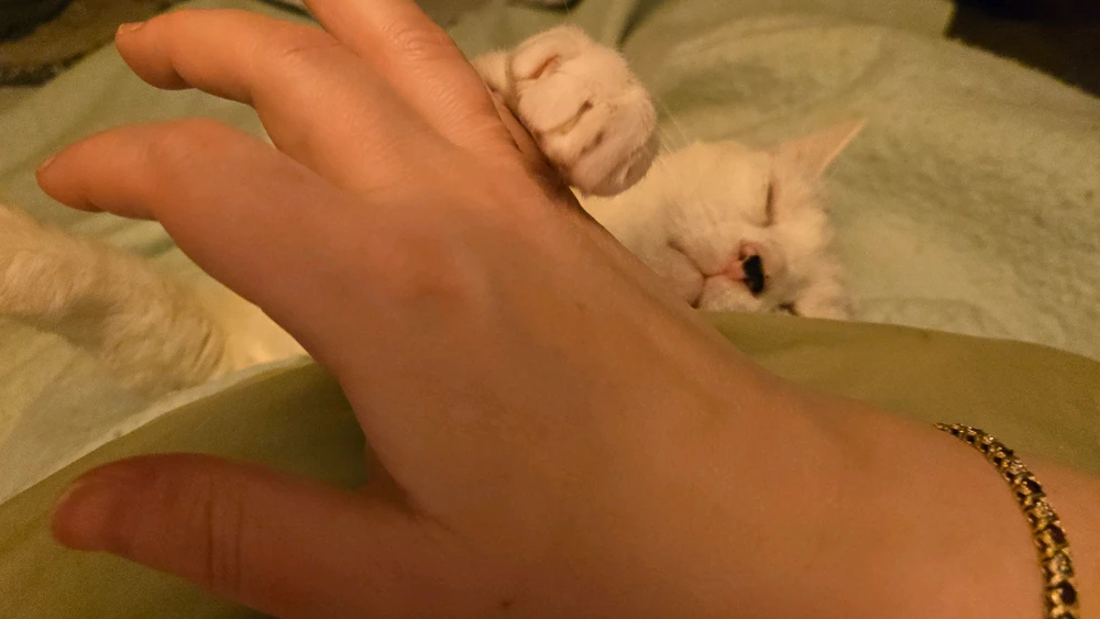 Image uploaded by Keri