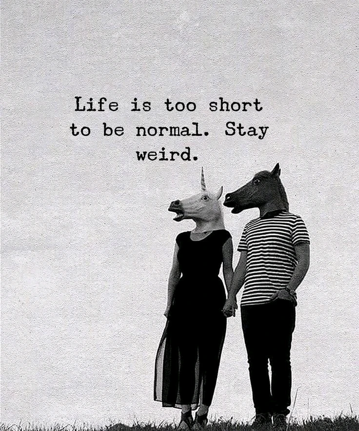 GIF subido por Laura