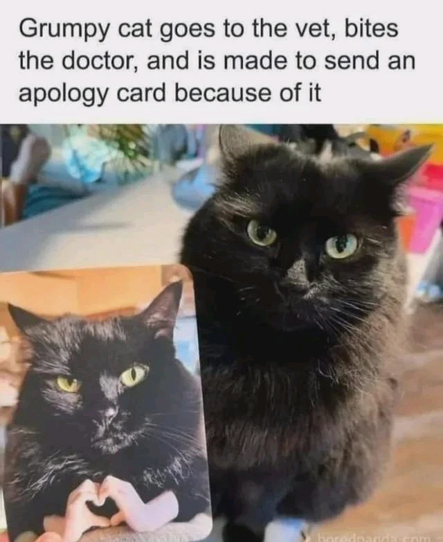 GIF uploaded by Andrei