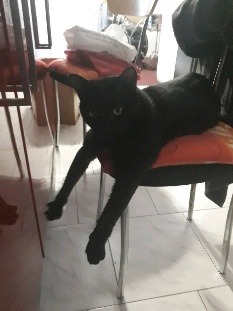 GIF ανέβηκε από Gioko