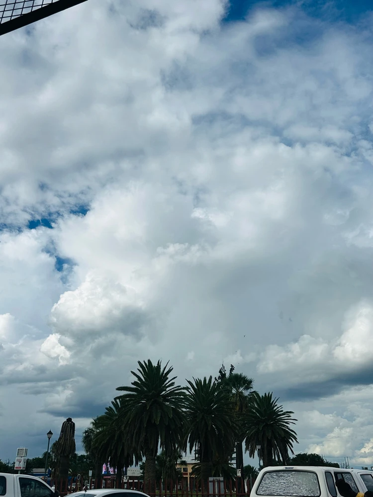 GIF uploaded by Treq