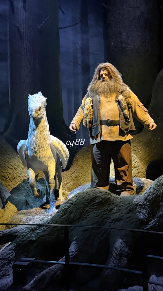 Image uploaded by cy