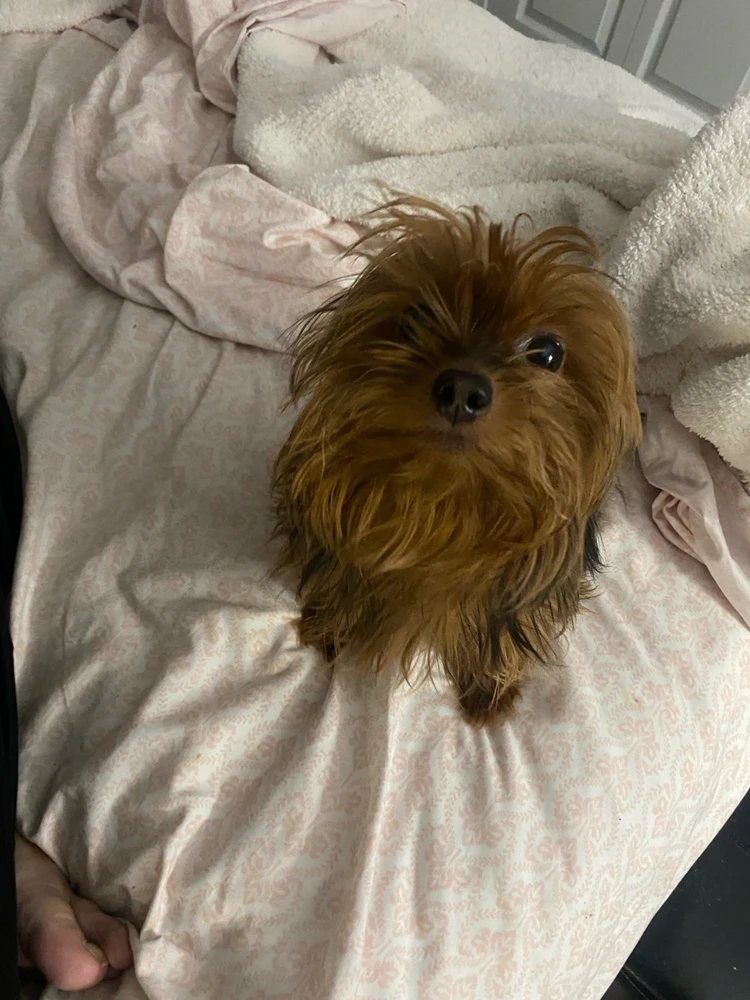 GIF uploaded by Stephen