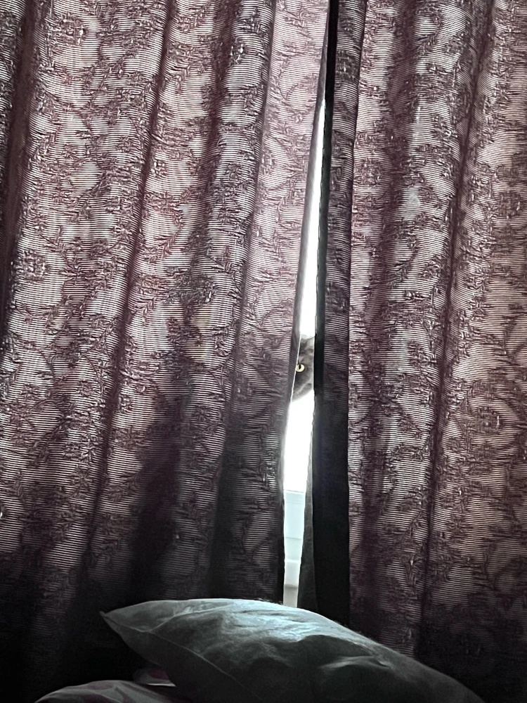 Obrázek nahrál mira