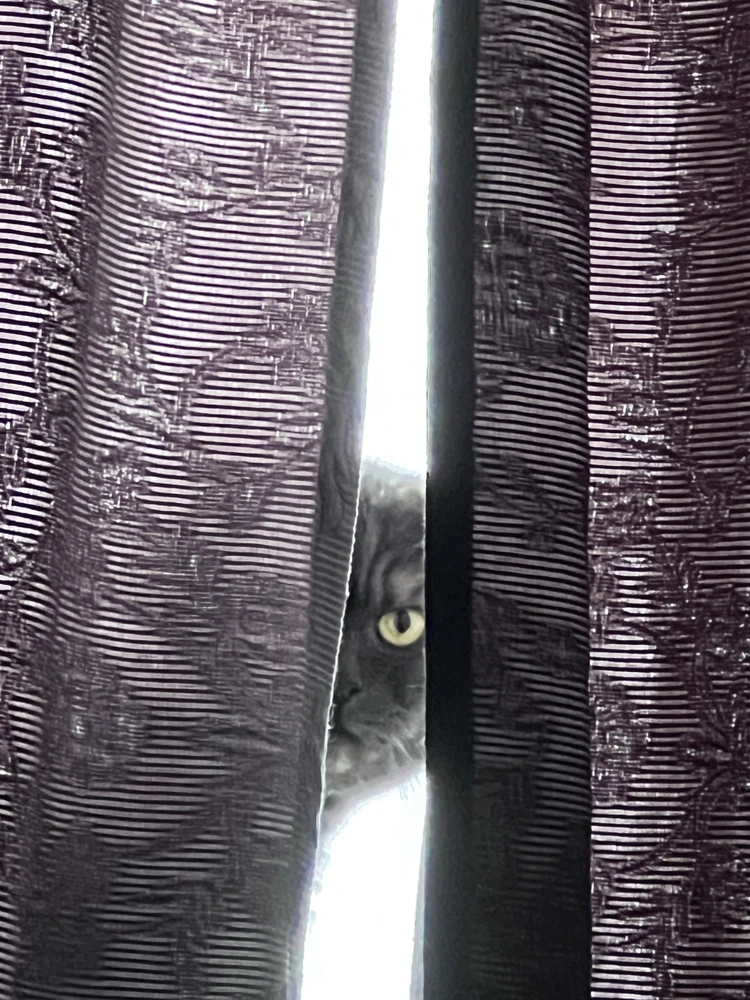 Obrázek nahrál mira