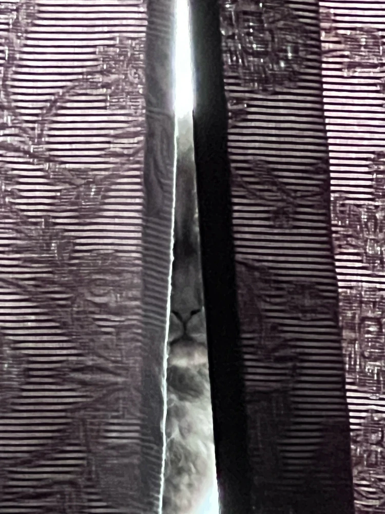 Obrázek nahrál mira