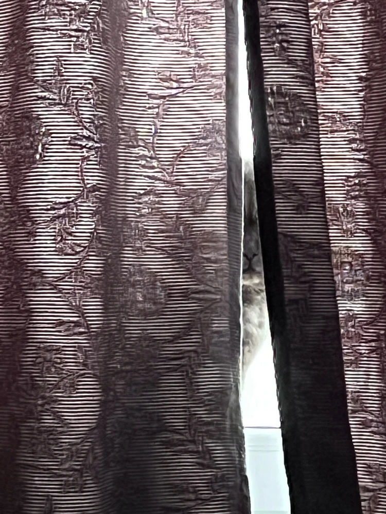 Obrázek nahrál mira