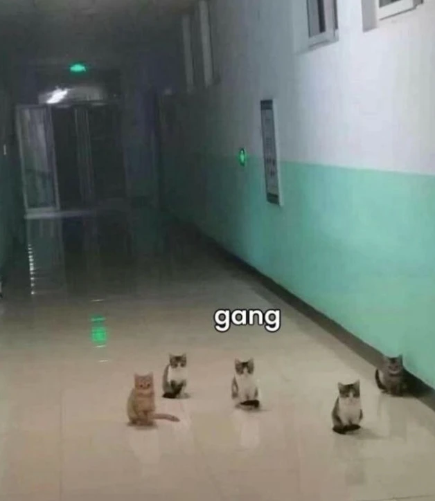 GIF uploaded by Alfredo