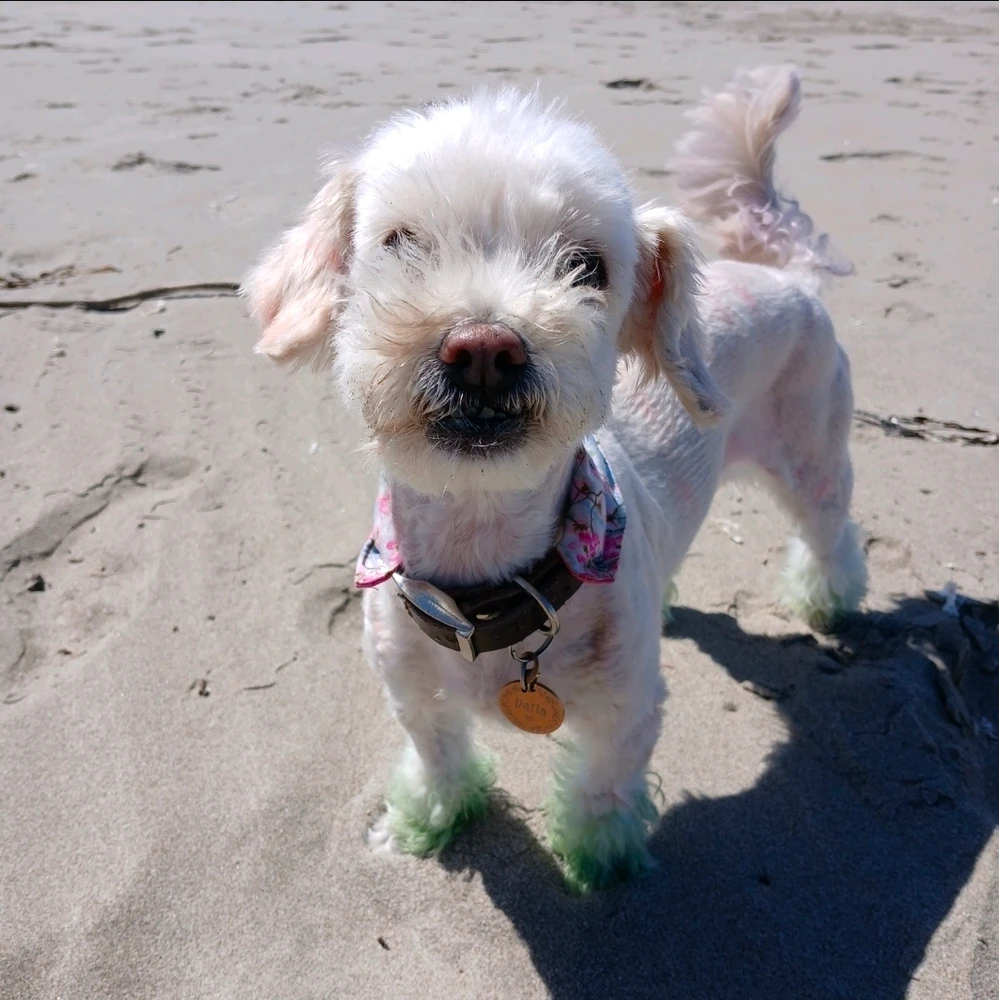 Image uploaded by Adrienne