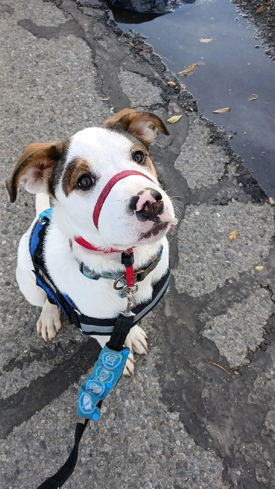 Image uploaded by Adrienne