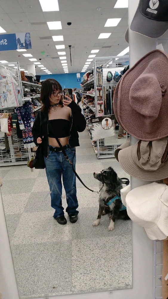 Current service dog Bluey