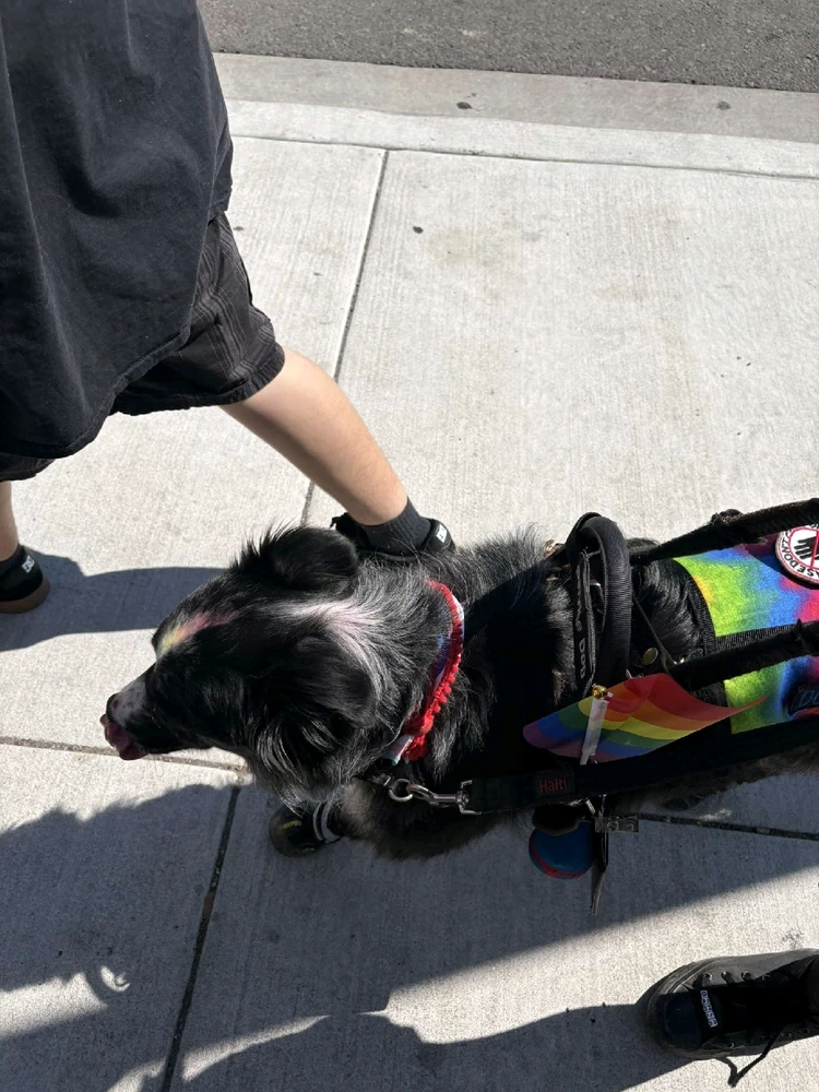 Image uploaded by Adrienne