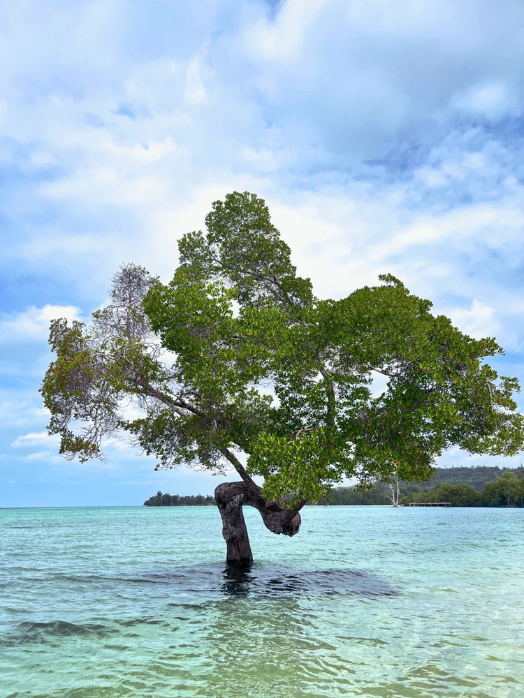 GIF uploaded by Maria