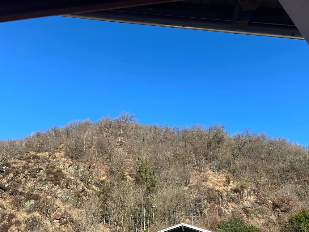 GIF caricata da Emanuela