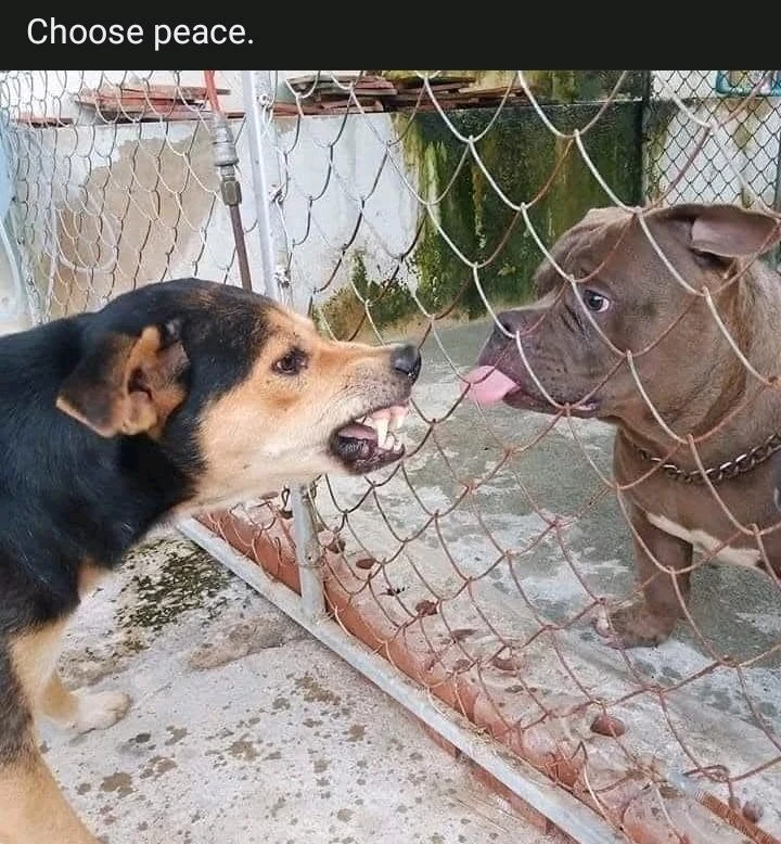 GIF diunggah dening TG