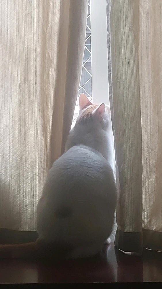 GIF enviado por Dennys