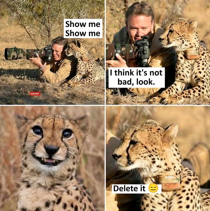 GIF uploaded by Ross