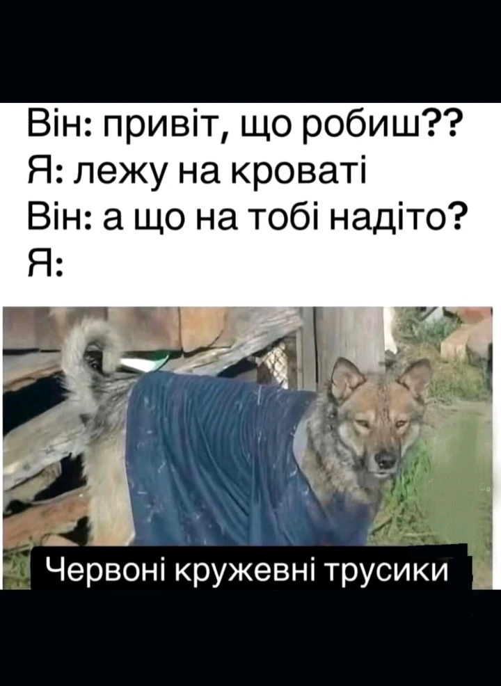 Гіфку завантажив Natalia🦇