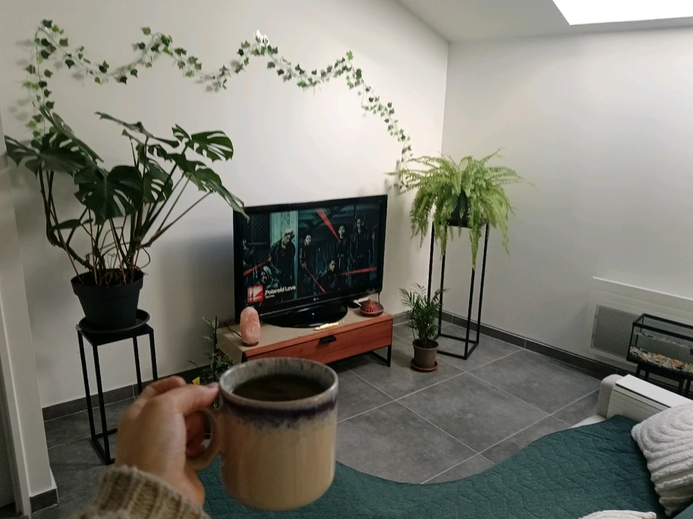 Image ajoutée par Saffiya