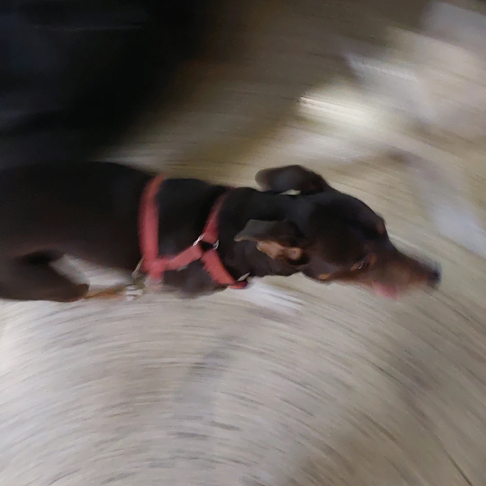 GIF uploaded by 工ŋdiဌо