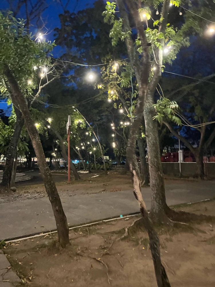 Image uploaded by Shelyte