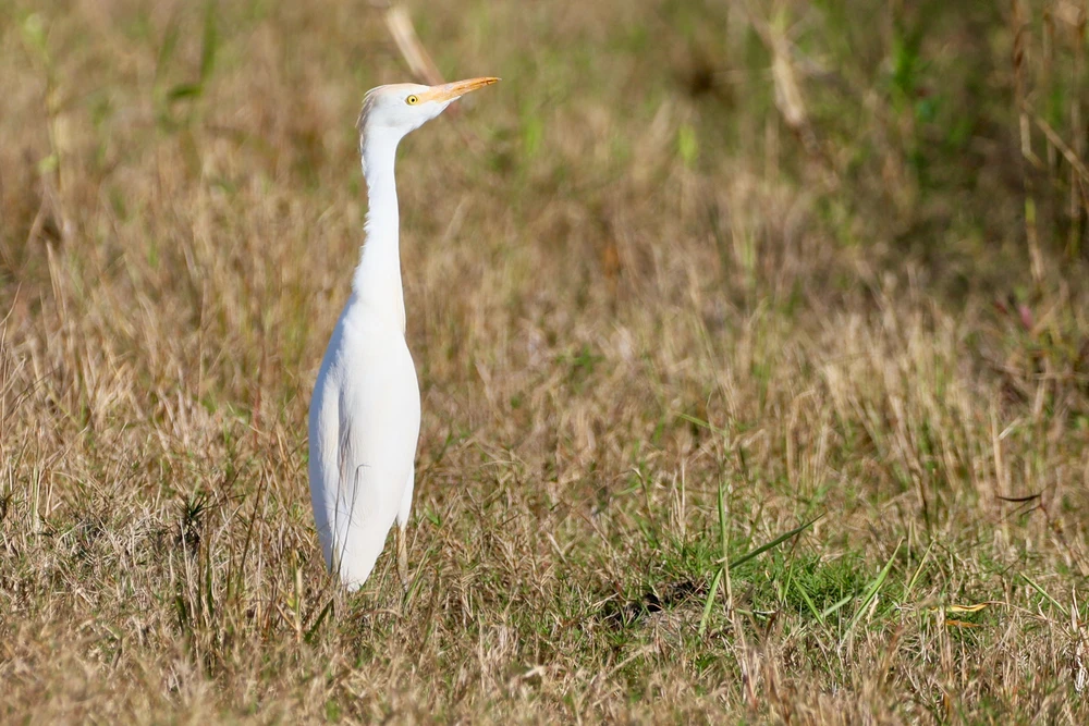 GIF uploaded by Sherlock