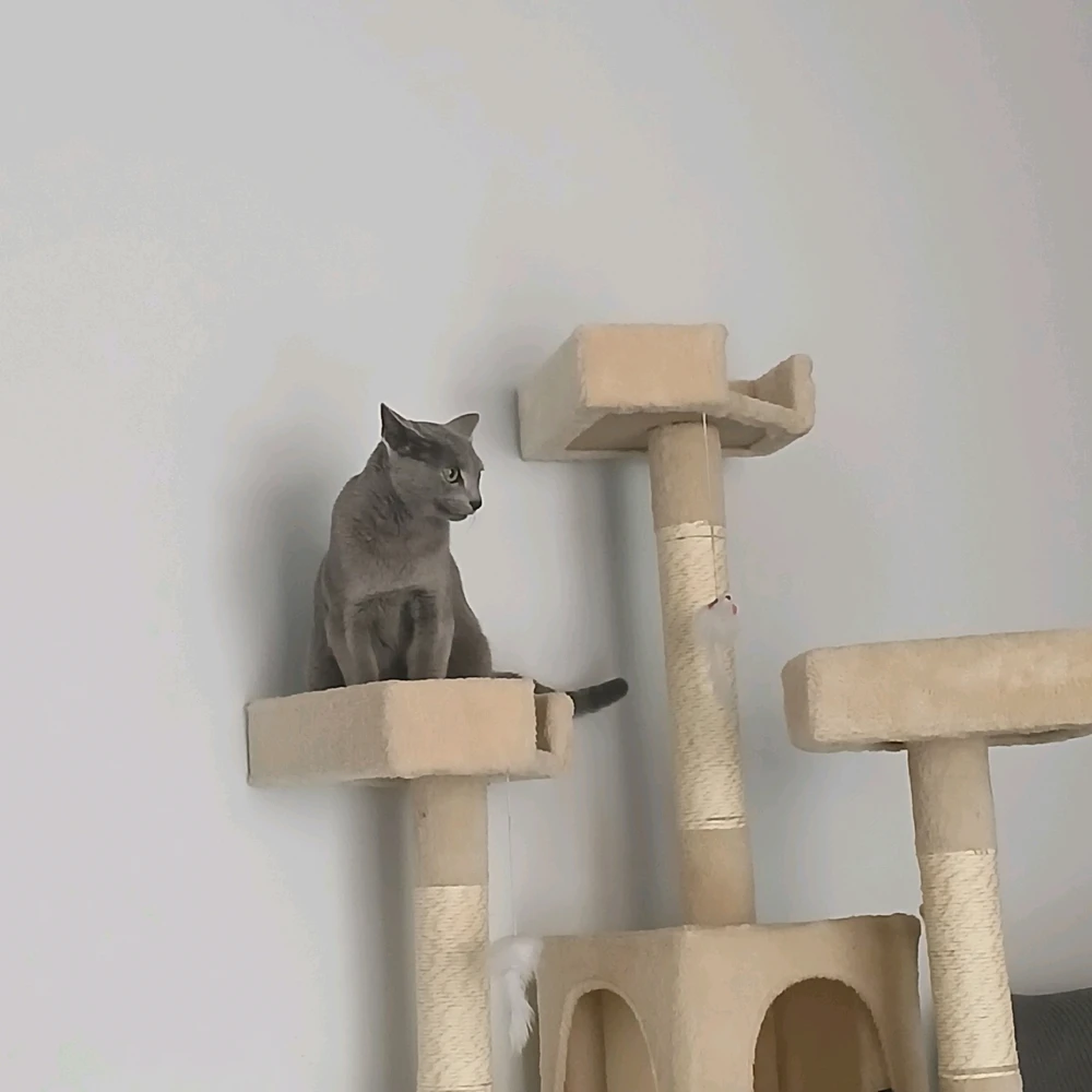 Imatge pujada per Ramon