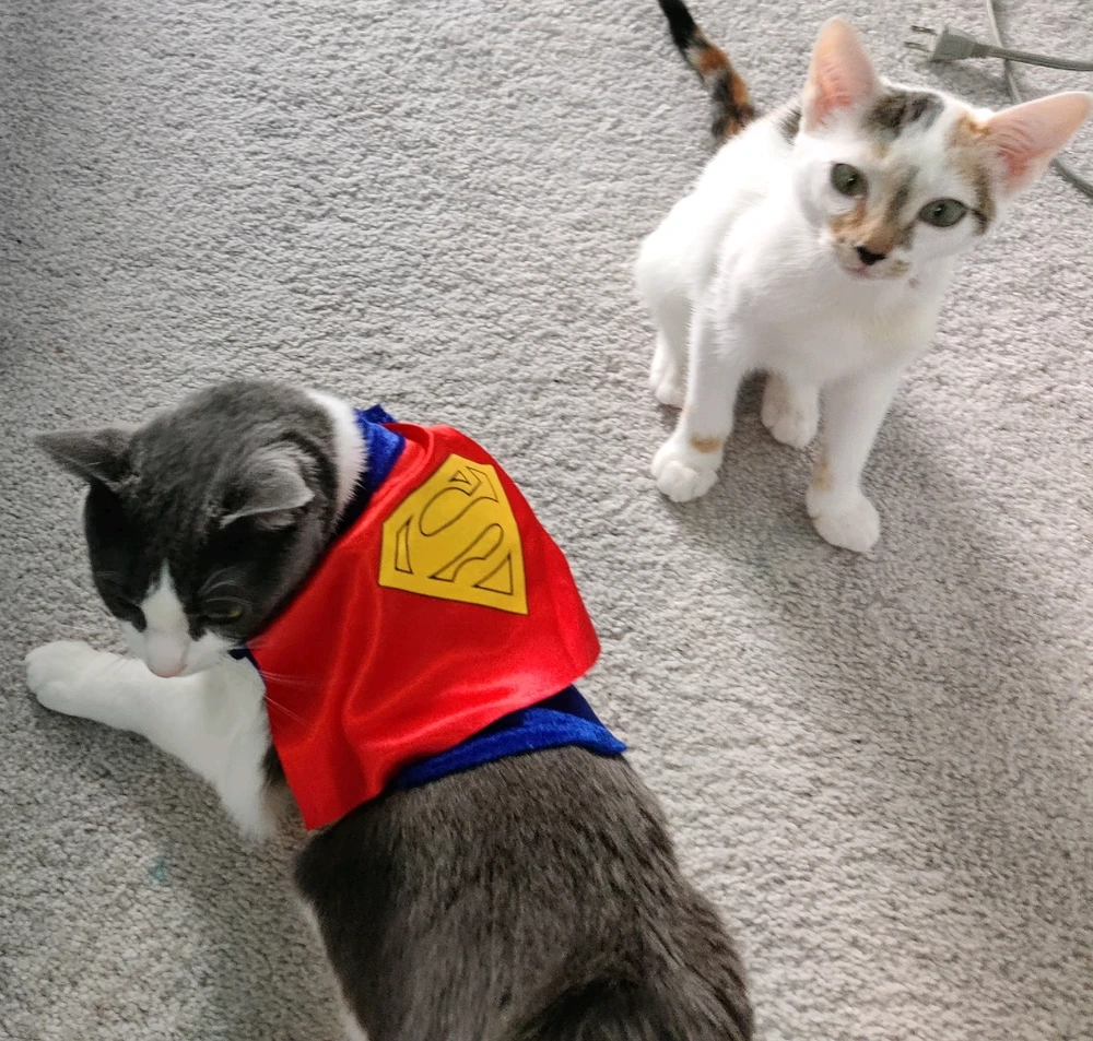 Image uploaded by Andrew