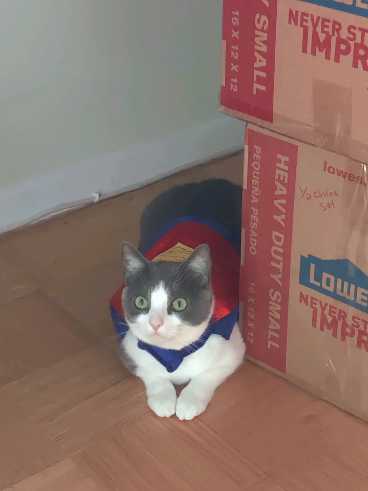 Image uploaded by Andrew