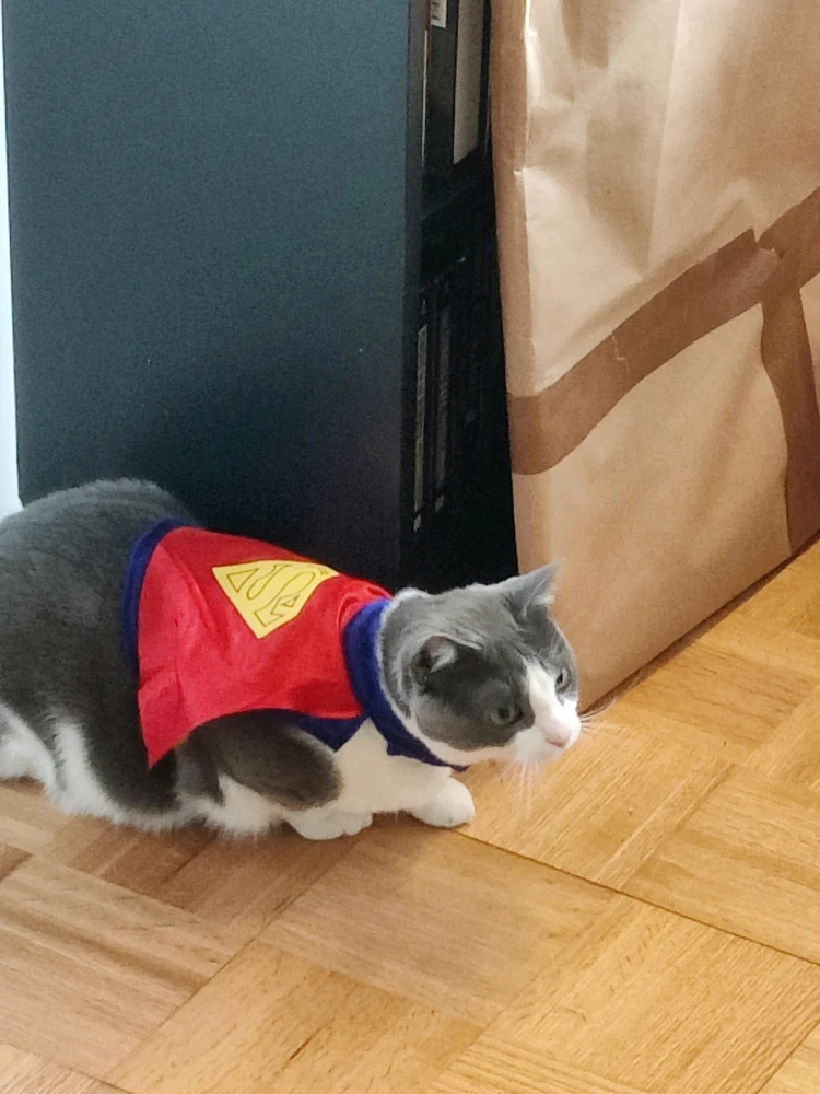 Image uploaded by Andrew