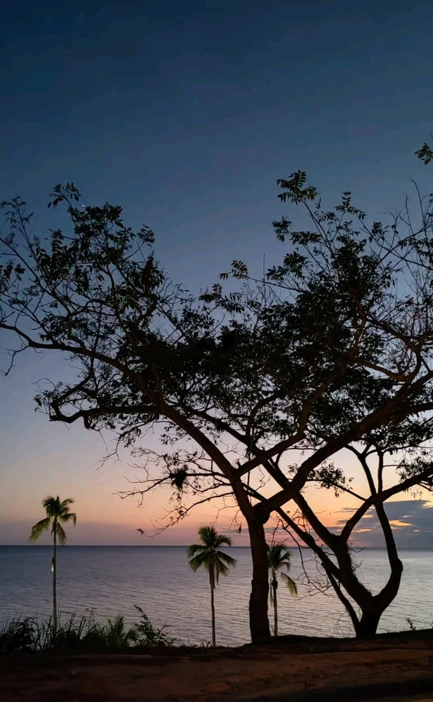 Image uploaded by Felipe