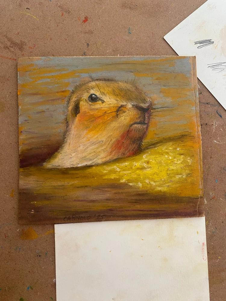 Image uploaded by Clayton