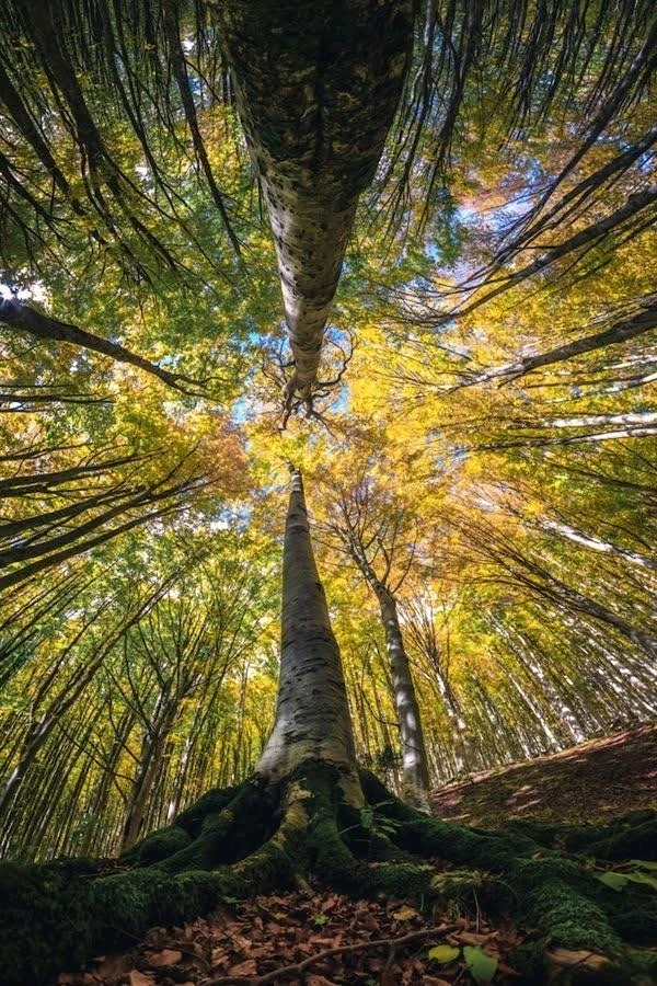 GIF enviado por Thayna