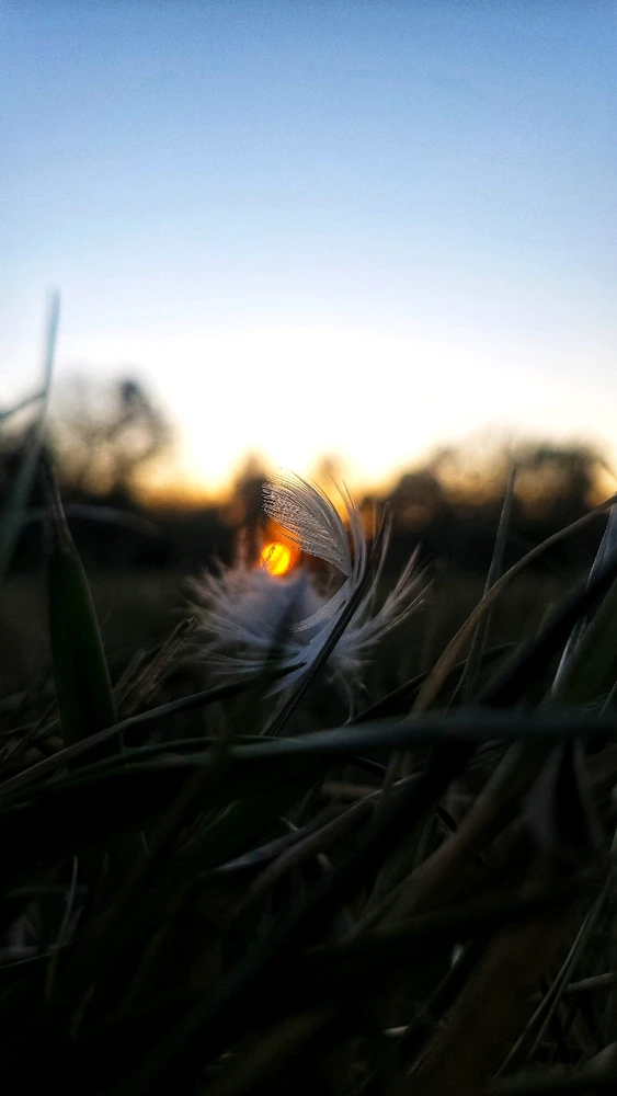 Gambar diunggah dening Christie