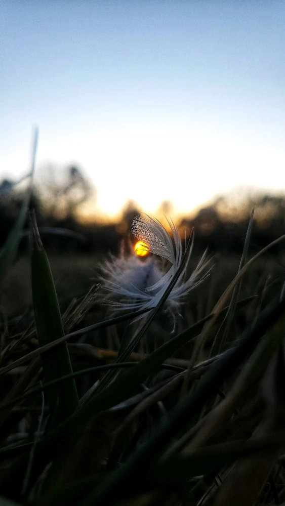 Gambar diunggah dening Christie