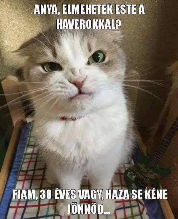 Máté által feltöltött kép